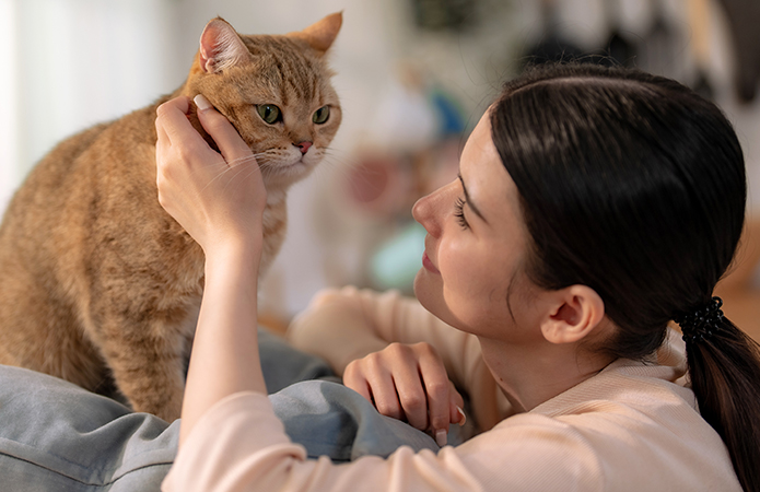 Woman petting a golden-coated domestic cat indoors, symbolizing the Lifeanalytics blog article on Pet Care Products, regulatory challenges, and testing management for the Cosmetic & Medical Device Business Unit.